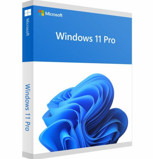 Windows 11 Professional (Doživotní licence) - Microsoft - LicenceX.cz